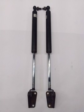 Picture of USED OEM Hood Struts