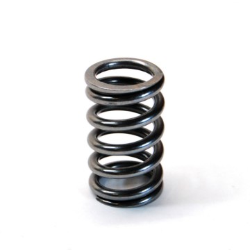 Picture of 3SX Valve Springs Set of 24 with Titanium Retainers